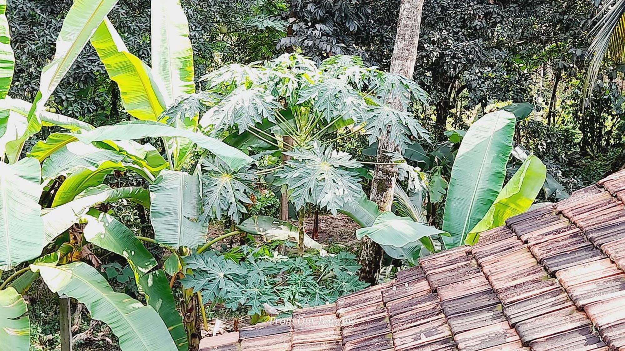 Le Meridien Bnb For Foreign Travelers Negombo Kültér fotó