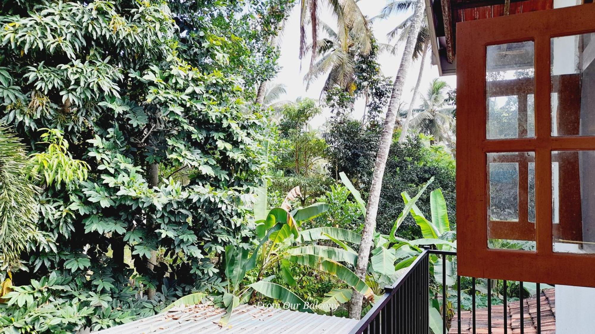 Le Meridien Bnb For Foreign Travelers Negombo Kültér fotó