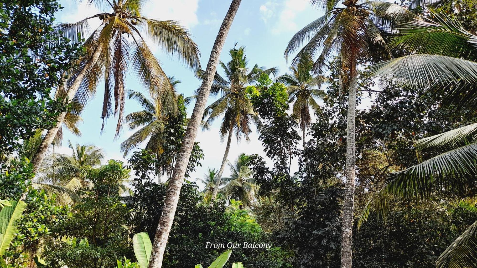 Le Meridien Bnb For Foreign Travelers Negombo Kültér fotó